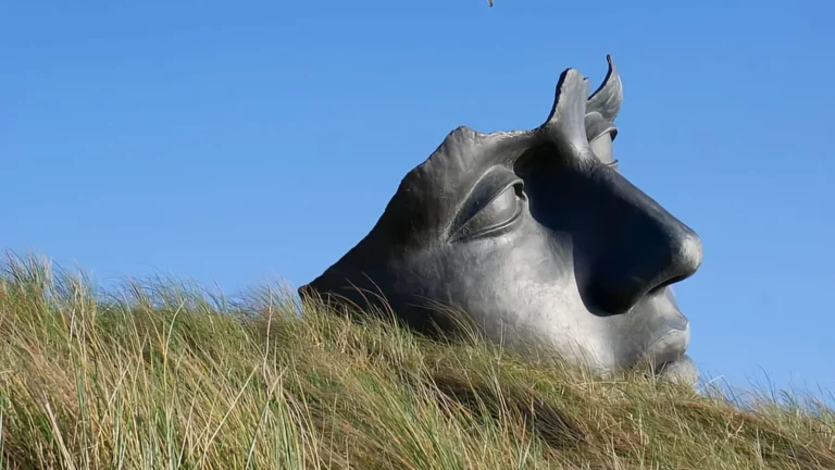 A large bronze sculpture of a face lying among dune grass against a blue sky