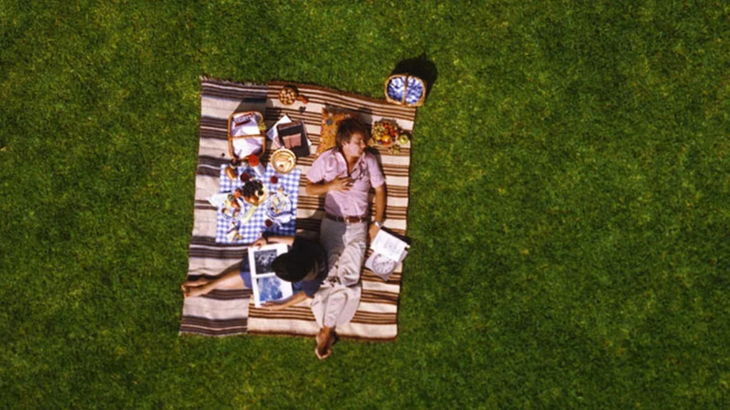 Aerial view of a couple lying on a picnic blanket on a lawn, from the film Powers of Ten