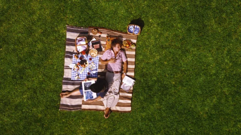 Aerial view of a couple lying on a picnic blanket on a lawn, from the film Powers of Ten
